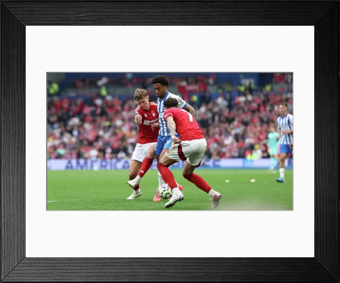 Framed Print : Brighton and Hove Albion v Nottingham Forest Premier League 22SEP24 Framed Print : Brighton and Hove Albion v Nottingham Forest Premier League 22SEP24