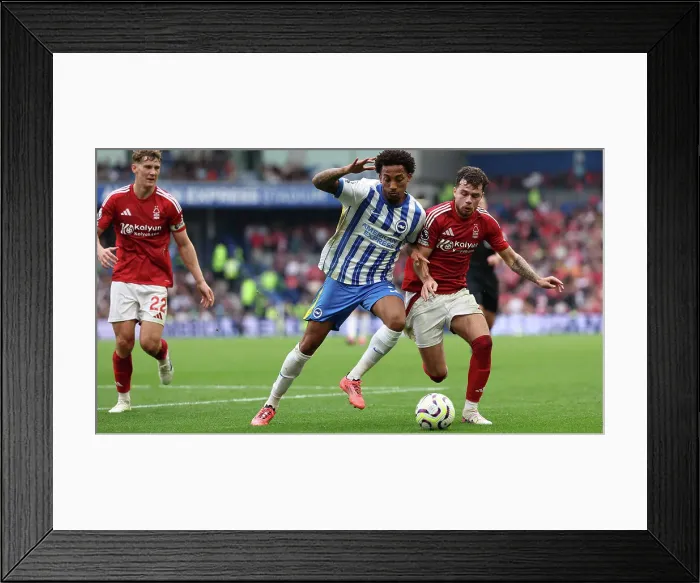 Framed Print : Brighton and Hove Albion v Nottingham Forest Premier League 22SEP24 Framed Print : Brighton and Hove Albion v Nottingham Forest Premier League 22SEP24