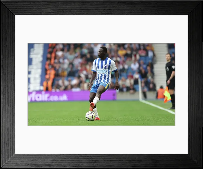 Framed Print : Brighton and Hove Albion v Nottingham Forest Premier League 22SEP24 Framed Print : Brighton and Hove Albion v Nottingham Forest Premier League 22SEP24