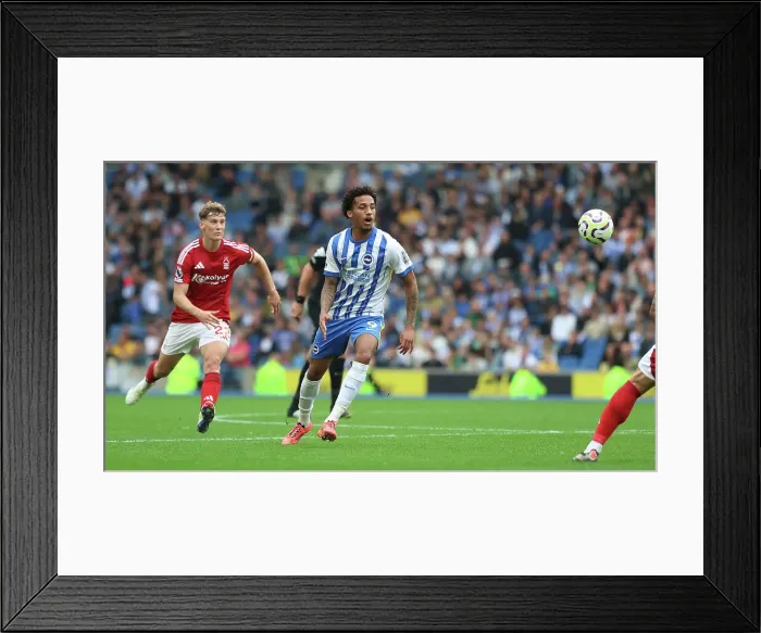 Framed Print : Brighton and Hove Albion v Nottingham Forest Premier League 22SEP24 Framed Print : Brighton and Hove Albion v Nottingham Forest Premier League 22SEP24