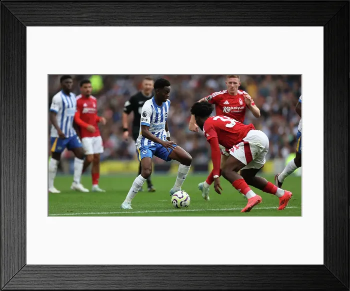 Framed Print : Brighton and Hove Albion v Nottingham Forest Premier League 22SEP24 Framed Print : Brighton and Hove Albion v Nottingham Forest Premier League 22SEP24