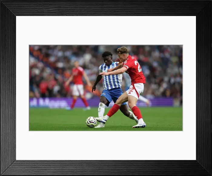 Framed Print : Brighton and Hove Albion v Nottingham Forest Premier League 22SEP24 Framed Print : Brighton and Hove Albion v Nottingham Forest Premier League 22SEP24