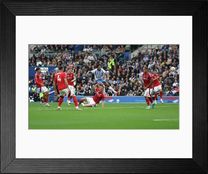 Framed Print : Brighton and Hove Albion v Nottingham Forest Premier League 22SEP24 Framed Print : Brighton and Hove Albion v Nottingham Forest Premier League 22SEP24