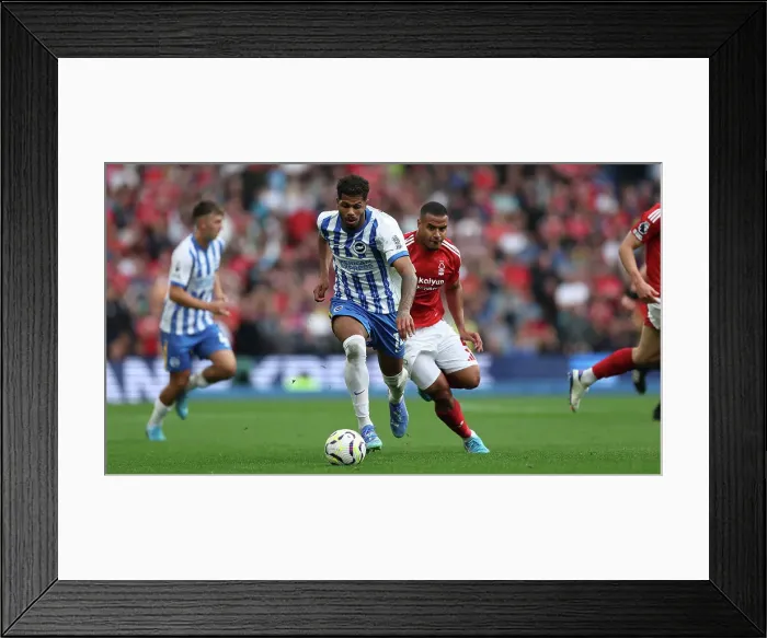 Framed Print : Brighton and Hove Albion v Nottingham Forest Premier League 22SEP24 Framed Print : Brighton and Hove Albion v Nottingham Forest Premier League 22SEP24