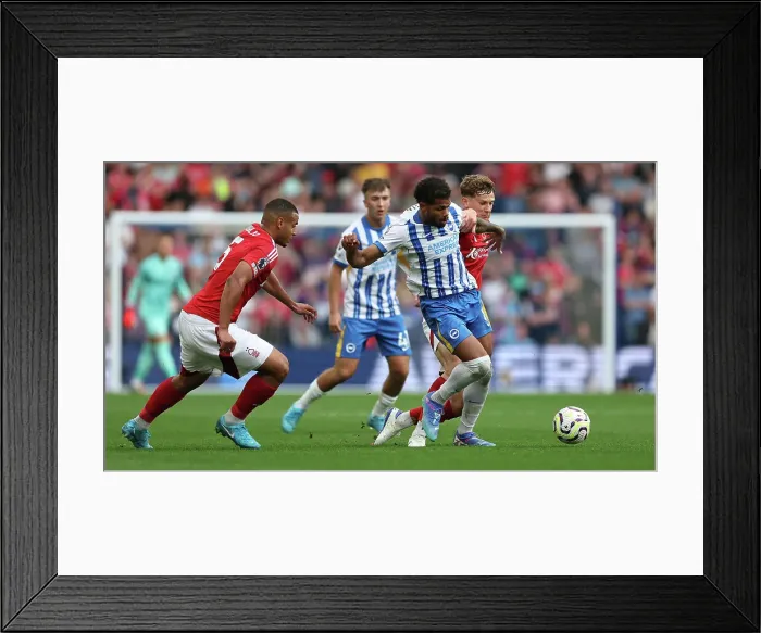 Framed Print : Brighton and Hove Albion v Nottingham Forest Premier League 22SEP24 Framed Print : Brighton and Hove Albion v Nottingham Forest Premier League 22SEP24