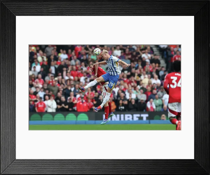 Framed Print : Brighton and Hove Albion v Nottingham Forest Premier League 22SEP24 Framed Print : Brighton and Hove Albion v Nottingham Forest Premier League 22SEP24