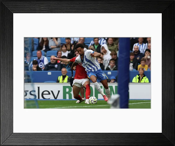 Framed Print : Brighton and Hove Albion v Nottingham Forest Premier League 22SEP24 Framed Print : Brighton and Hove Albion v Nottingham Forest Premier League 22SEP24