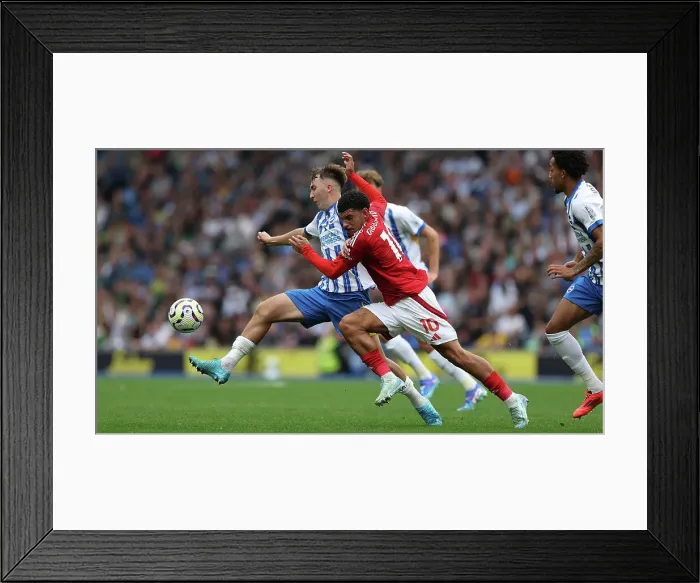 Framed Print : Brighton and Hove Albion v Nottingham Forest Premier League 22SEP24 Framed Print : Brighton and Hove Albion v Nottingham Forest Premier League 22SEP24
