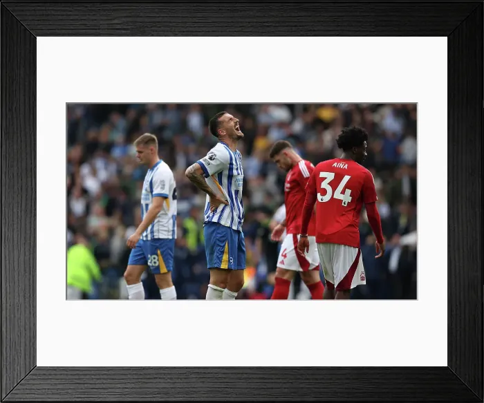 Framed Print : Brighton and Hove Albion v Nottingham Forest Premier League 22SEP24 Framed Print : Brighton and Hove Albion v Nottingham Forest Premier League 22SEP24