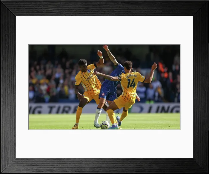 Framed Print : Chelsea v Brighton and Hove Albion Premier League 28SEP24 Framed Print : Chelsea v Brighton and Hove Albion Premier League 28SEP24