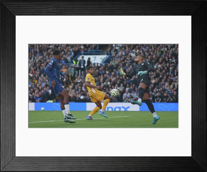 Framed Print : Chelsea v Brighton and Hove Albion Premier League 28SEP24 Framed Print : Chelsea v Brighton and Hove Albion Premier League 28SEP24