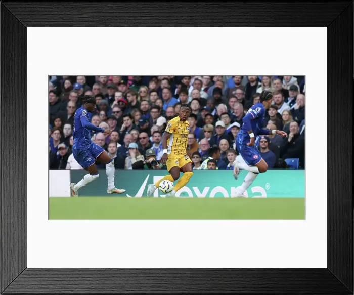 Framed Print : Chelsea v Brighton and Hove Albion Premier League 28SEP24 Framed Print : Chelsea v Brighton and Hove Albion Premier League 28SEP24
