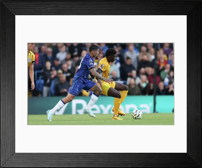 Framed Print : Chelsea v Brighton and Hove Albion Premier League 28SEP24 Framed Print : Chelsea v Brighton and Hove Albion Premier League 28SEP24