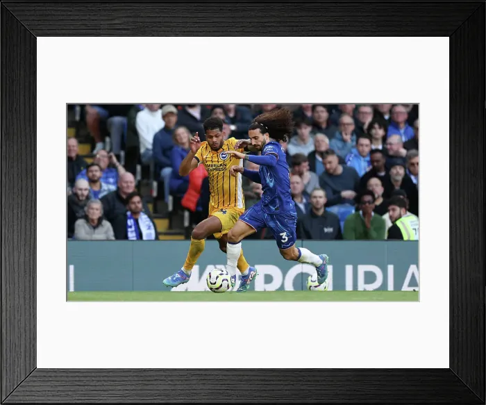 Framed Print : Chelsea v Brighton and Hove Albion Premier League 28SEP24