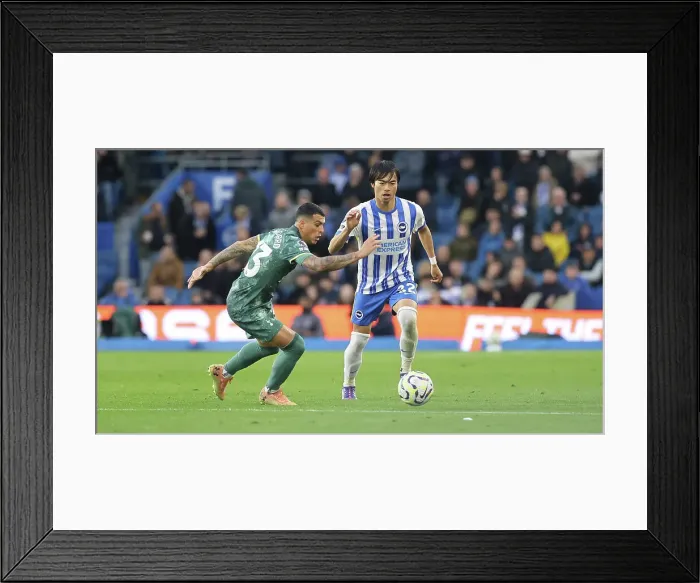 Framed Print : Brighton and Hove Albion v Tottenham Hotspur Premier League 06OCT24 Framed Print : Brighton and Hove Albion v Tottenham Hotspur Premier League 06OCT24
