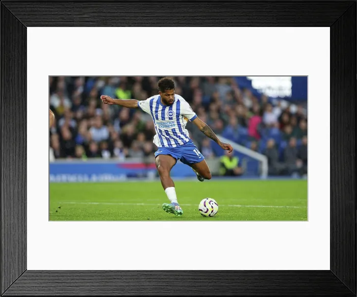 Framed Print : Brighton and Hove Albion v Tottenham Hotspur Premier League 06OCT24 Framed Print : Brighton and Hove Albion v Tottenham Hotspur Premier League 06OCT24
