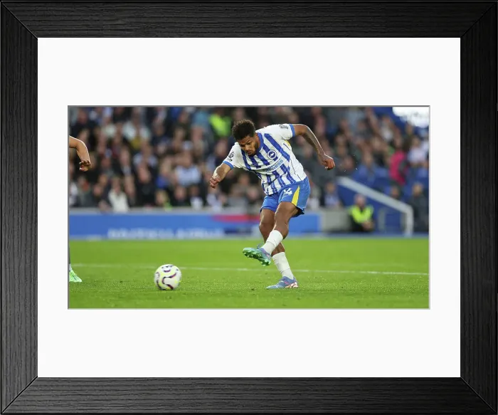 Framed Print : Brighton and Hove Albion v Tottenham Hotspur Premier League 06OCT24