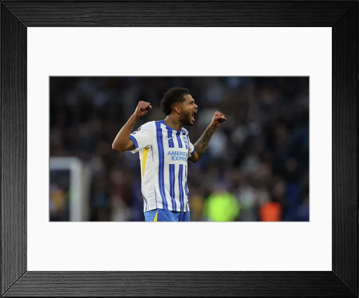 Framed Print : Brighton and Hove Albion v Tottenham Hotspur Premier League 06OCT24 Framed Print : Brighton and Hove Albion v Tottenham Hotspur Premier League 06OCT24