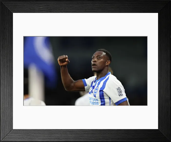 Framed Print : Brighton and Hove Albion v Tottenham Hotspur Premier League 06OCT24 Framed Print : Brighton and Hove Albion v Tottenham Hotspur Premier League 06OCT24