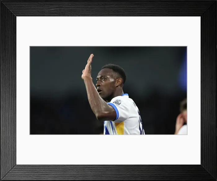 Framed Print : Brighton and Hove Albion v Tottenham Hotspur Premier League 06OCT24 Framed Print : Brighton and Hove Albion v Tottenham Hotspur Premier League 06OCT24