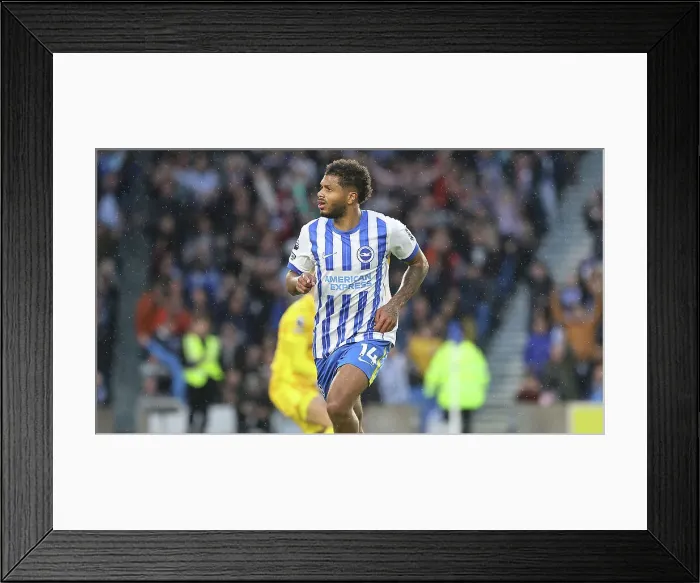 Framed Print : Brighton and Hove Albion v Tottenham Hotspur Premier League 06OCT24