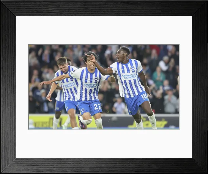 Framed Print : Brighton and Hove Albion v Tottenham Hotspur Premier League 06OCT24