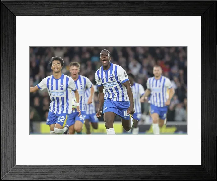 Framed Print : Brighton and Hove Albion v Tottenham Hotspur Premier League 06OCT24