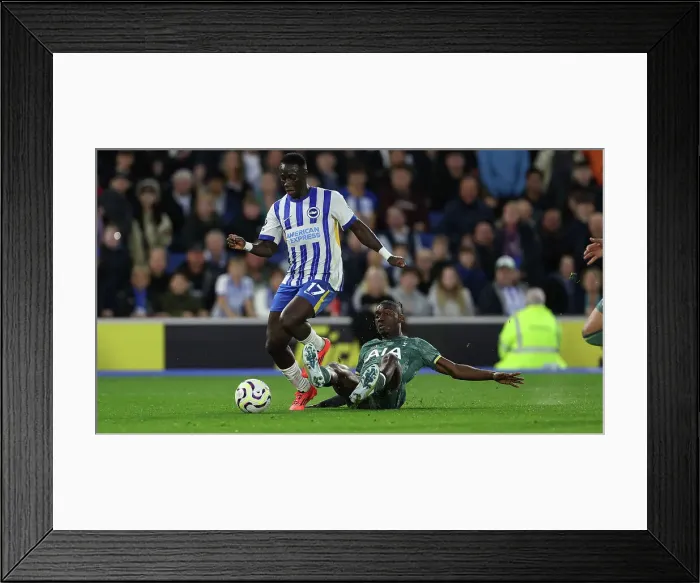 Framed Print : Brighton and Hove Albion v Tottenham Hotspur Premier League 06OCT24 Framed Print : Brighton and Hove Albion v Tottenham Hotspur Premier League 06OCT24