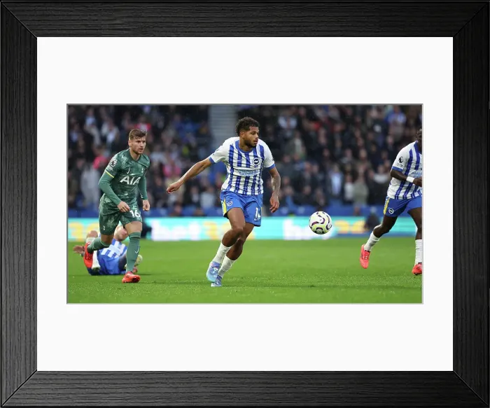Framed Print : Brighton and Hove Albion v Tottenham Hotspur Premier League 06OCT24 Framed Print : Brighton and Hove Albion v Tottenham Hotspur Premier League 06OCT24