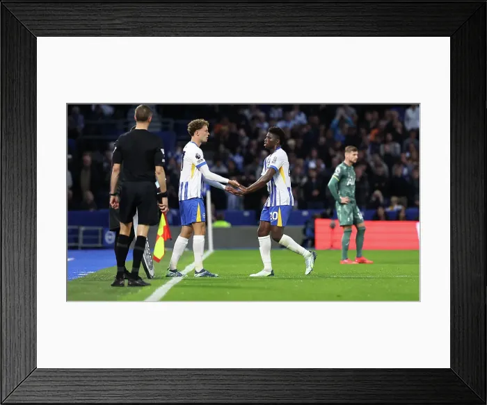 Framed Print : Brighton and Hove Albion v Tottenham Hotspur Premier League 06OCT24 Framed Print : Brighton and Hove Albion v Tottenham Hotspur Premier League 06OCT24