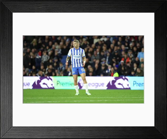 Framed Print : Brighton and Hove Albion v Tottenham Hotspur Premier League 06OCT24 Framed Print : Brighton and Hove Albion v Tottenham Hotspur Premier League 06OCT24