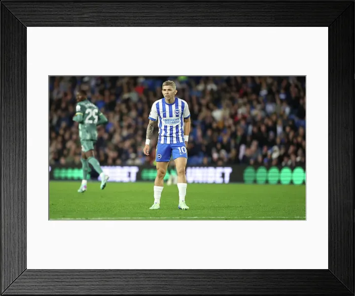 Framed Print : Brighton and Hove Albion v Tottenham Hotspur Premier League 06OCT24 Framed Print : Brighton and Hove Albion v Tottenham Hotspur Premier League 06OCT24
