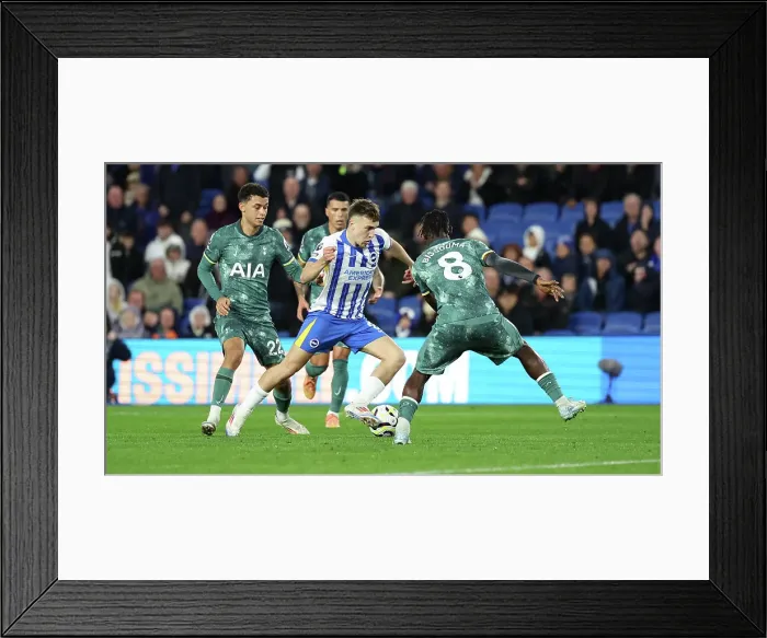 Framed Print : Brighton and Hove Albion v Tottenham Hotspur Premier League 06OCT24 Framed Print : Brighton and Hove Albion v Tottenham Hotspur Premier League 06OCT24