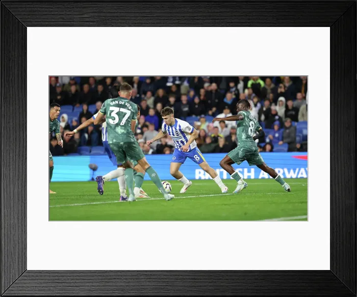 Framed Print : Brighton and Hove Albion v Tottenham Hotspur Premier League 06OCT24