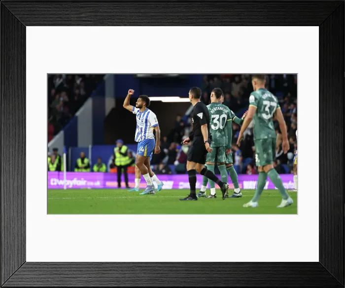 Framed Print : Brighton and Hove Albion v Tottenham Hotspur Premier League 06OCT24