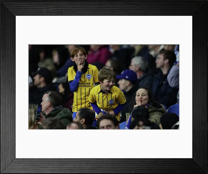 Framed Print : Brighton and Hove Albion v Tottenham Hotspur Premier League 06OCT24 Framed Print : Brighton and Hove Albion v Tottenham Hotspur Premier League 06OCT24