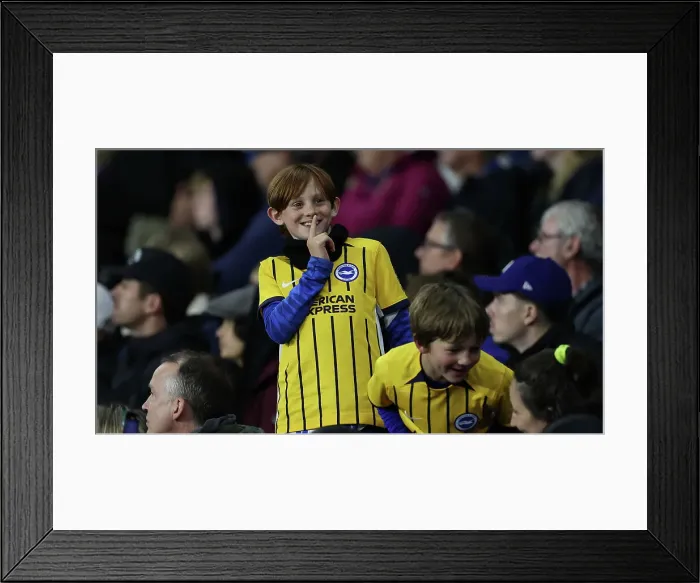 Framed Print : Brighton and Hove Albion v Tottenham Hotspur Premier League 06OCT24 Framed Print : Brighton and Hove Albion v Tottenham Hotspur Premier League 06OCT24