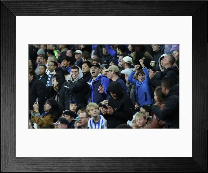 Framed Print : Brighton and Hove Albion v Tottenham Hotspur Premier League 06OCT24 Framed Print : Brighton and Hove Albion v Tottenham Hotspur Premier League 06OCT24