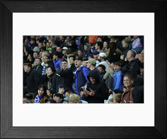 Framed Print : Brighton and Hove Albion v Tottenham Hotspur Premier League 06OCT24 Framed Print : Brighton and Hove Albion v Tottenham Hotspur Premier League 06OCT24