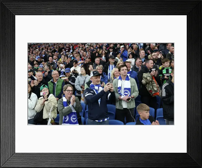 Framed Print : Brighton and Hove Albion v Tottenham Hotspur Premier League 06OCT24 Framed Print : Brighton and Hove Albion v Tottenham Hotspur Premier League 06OCT24