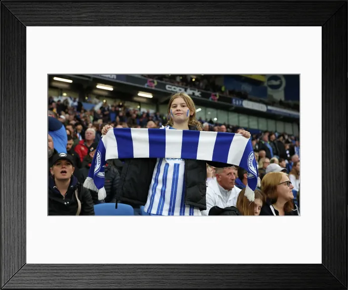 Framed Print : Brighton and Hove Albion v Tottenham Hotspur Premier League 06OCT24 Framed Print : Brighton and Hove Albion v Tottenham Hotspur Premier League 06OCT24