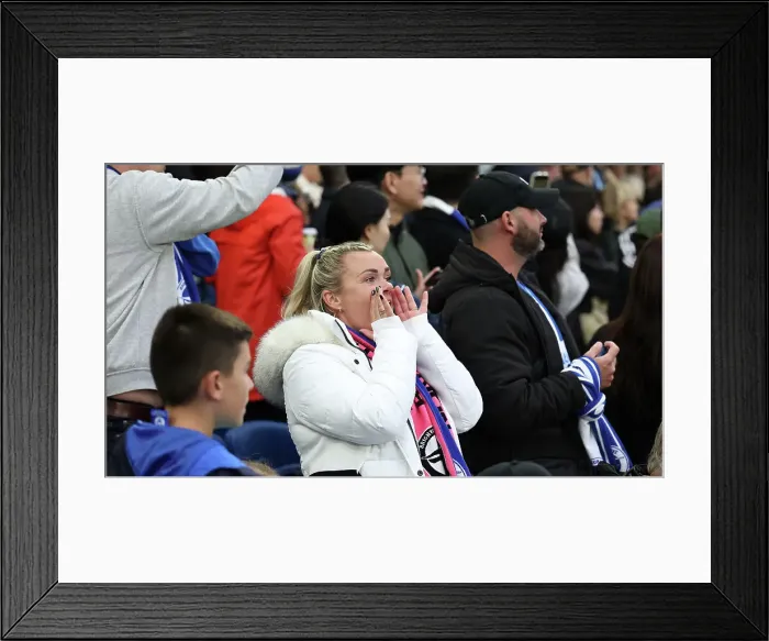 Framed Print : Brighton and Hove Albion v Tottenham Hotspur Premier League 06OCT24