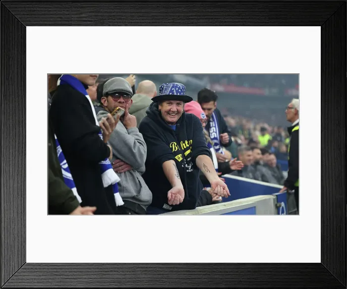 Framed Print : Brighton and Hove Albion v Tottenham Hotspur Premier League 06OCT24 Framed Print : Brighton and Hove Albion v Tottenham Hotspur Premier League 06OCT24