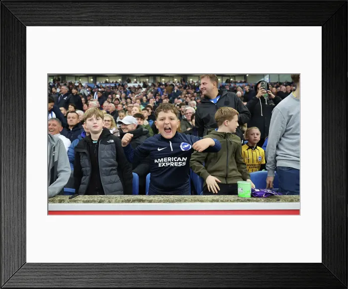 Framed Print : Brighton and Hove Albion v Tottenham Hotspur Premier League 06OCT24 Framed Print : Brighton and Hove Albion v Tottenham Hotspur Premier League 06OCT24
