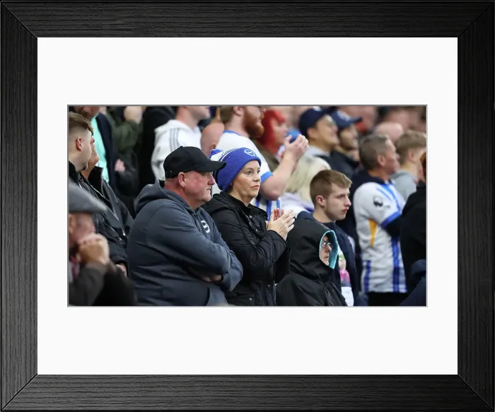 Framed Print : Brighton and Hove Albion v Tottenham Hotspur Premier League 06OCT24 Framed Print : Brighton and Hove Albion v Tottenham Hotspur Premier League 06OCT24