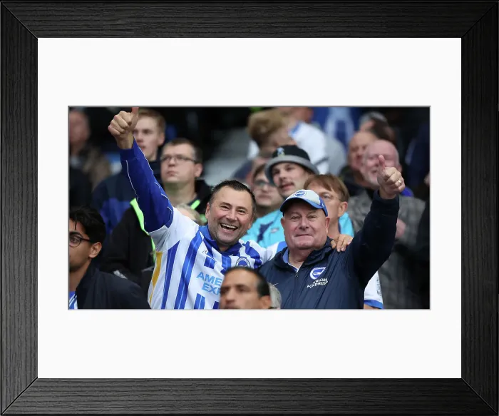 Framed Print : Brighton and Hove Albion v Tottenham Hotspur Premier League 06OCT24