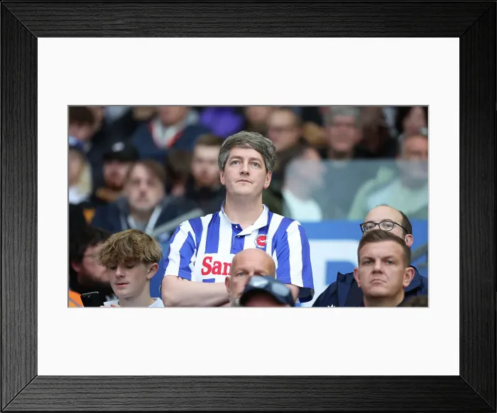 Framed Print : Brighton and Hove Albion v Tottenham Hotspur Premier League 06OCT24 Framed Print : Brighton and Hove Albion v Tottenham Hotspur Premier League 06OCT24