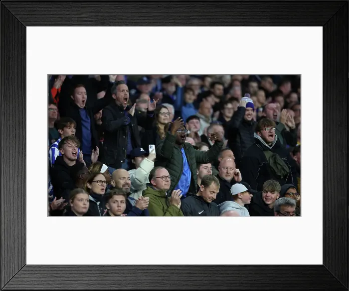 Framed Print : Brighton and Hove Albion v Tottenham Hotspur Premier League 06OCT24
