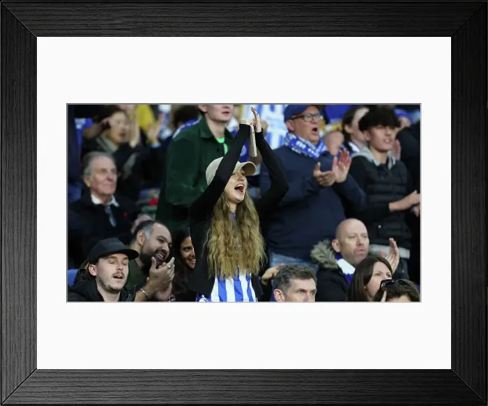 Framed Print : Brighton and Hove Albion v Tottenham Hotspur Premier League 06OCT24 Framed Print : Brighton and Hove Albion v Tottenham Hotspur Premier League 06OCT24