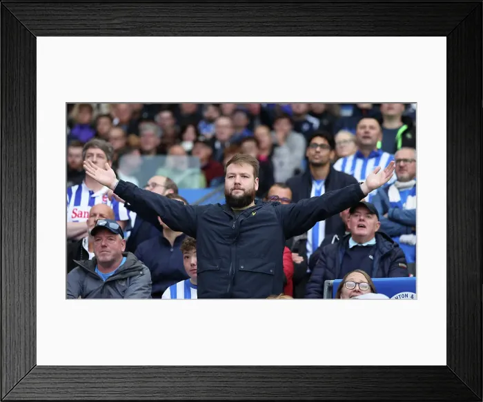 Framed Print : Brighton and Hove Albion v Tottenham Hotspur Premier League 06OCT24 Framed Print : Brighton and Hove Albion v Tottenham Hotspur Premier League 06OCT24